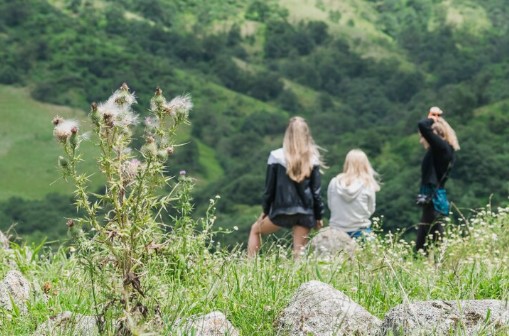 Spring Adventures