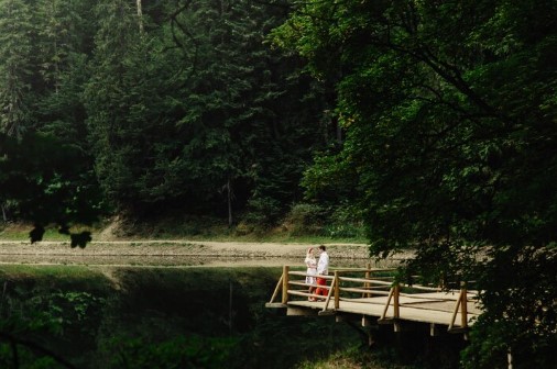 Forest Retreat